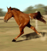 post-8198-1318259735,8484_thumb.gif
