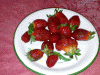 post-8198-1318260132,1662_thumb.gif