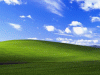 post-37533-0-21184900-1353450958_thumb.gif