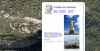 post-37533-0-17004900-1356605498_thumb.gif
