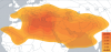post-60869-0-28504100-1386718603_thumb.png