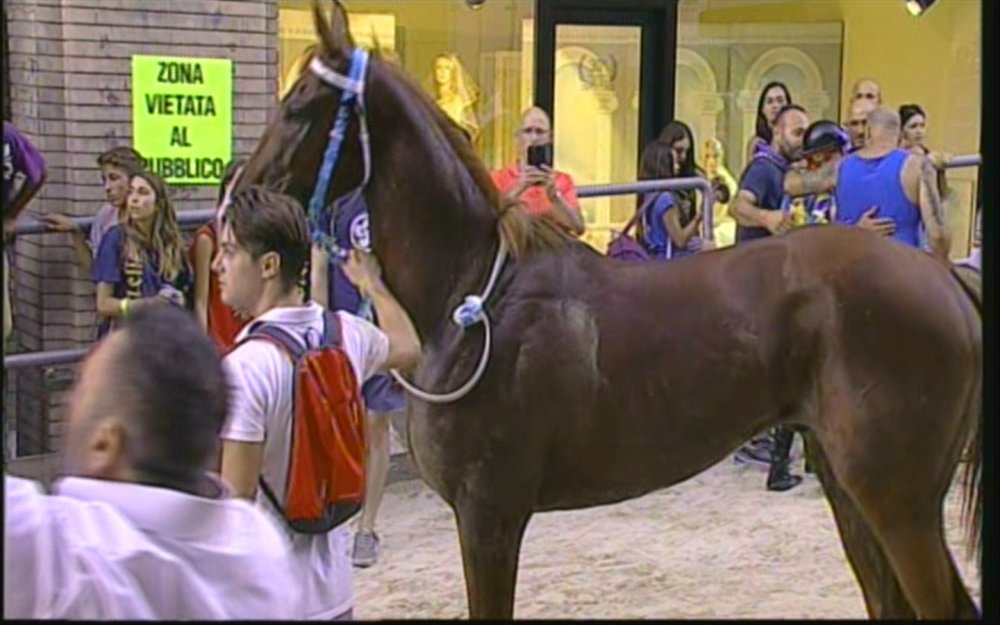 0815200431Satfeeds-DX.jpg