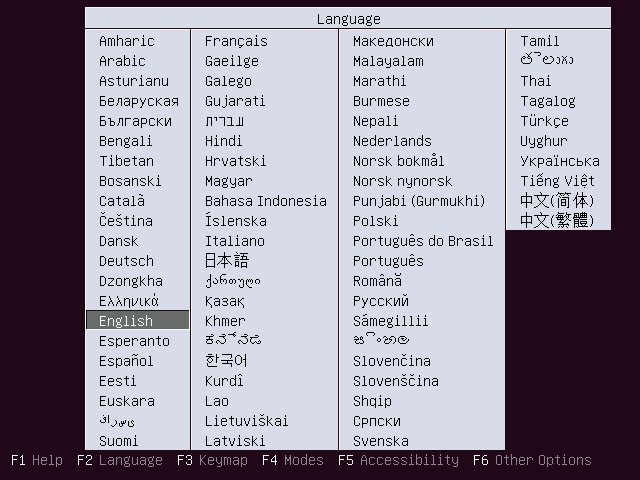 02#01-install_ubuntu_server.png