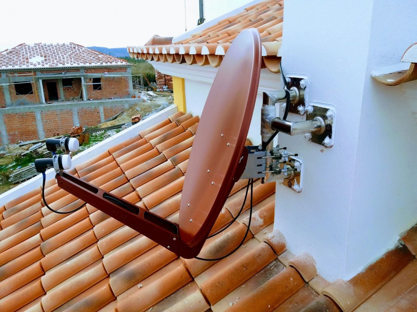 dish.jpeg