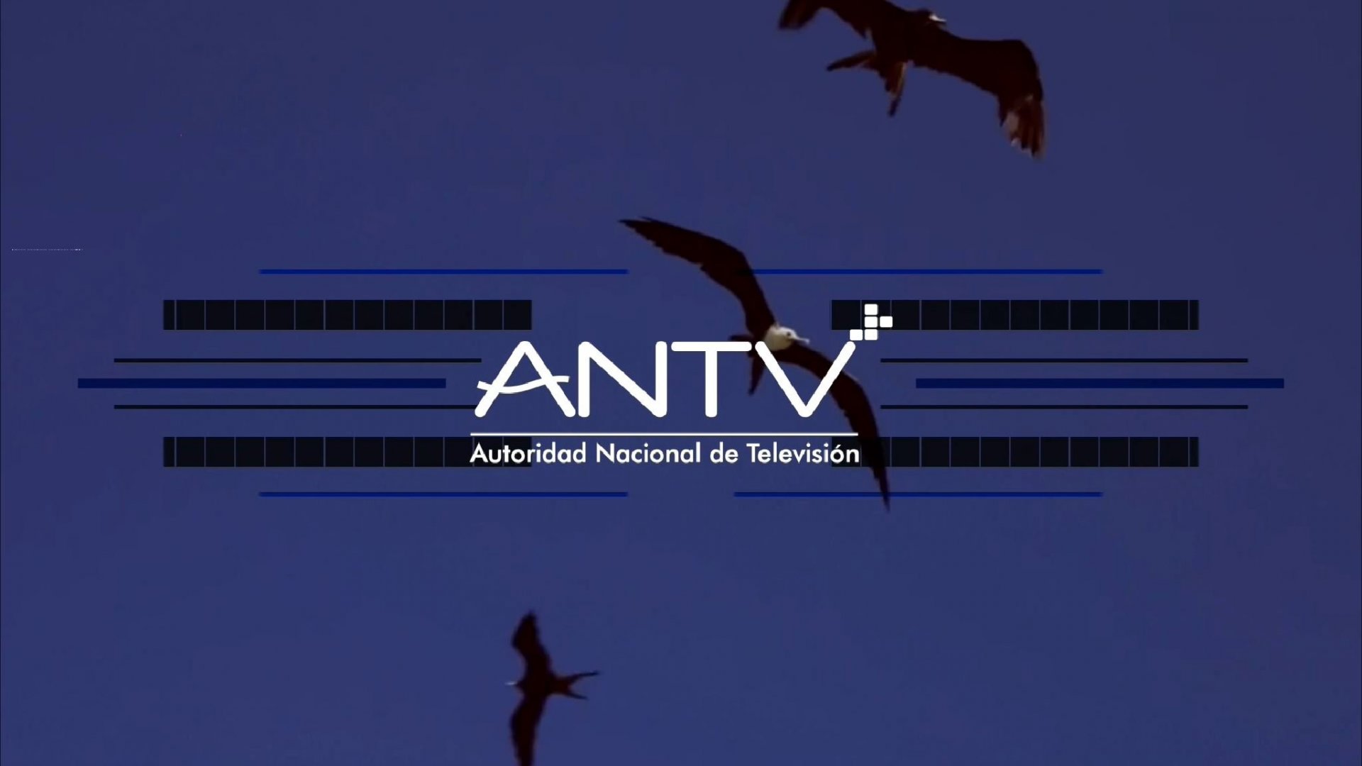 ScreenShot415.jpg