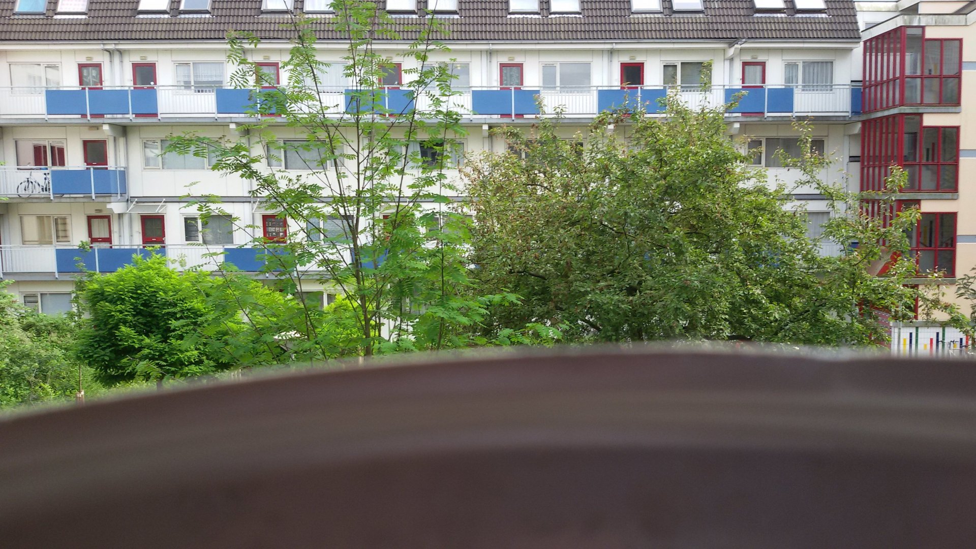 20180527_164148.jpg