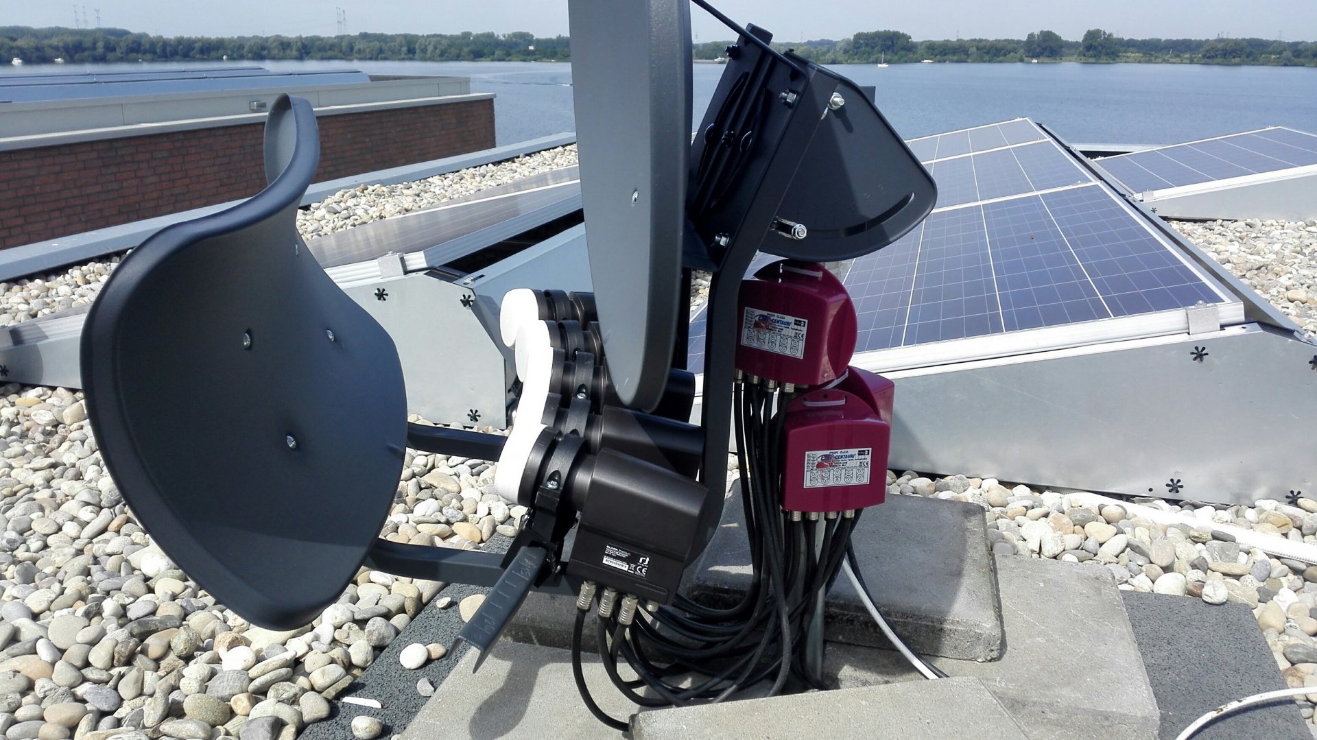 T55 schotel met Black Premium Quad LNB.jpg