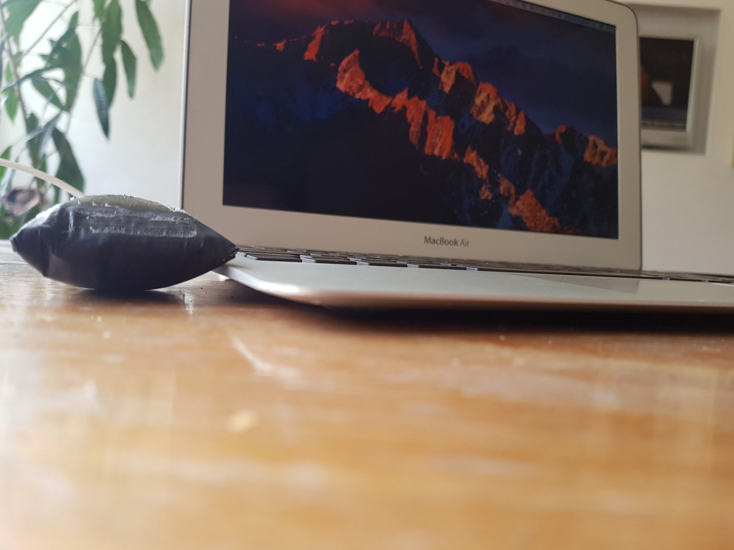 20180711_113114.jpg