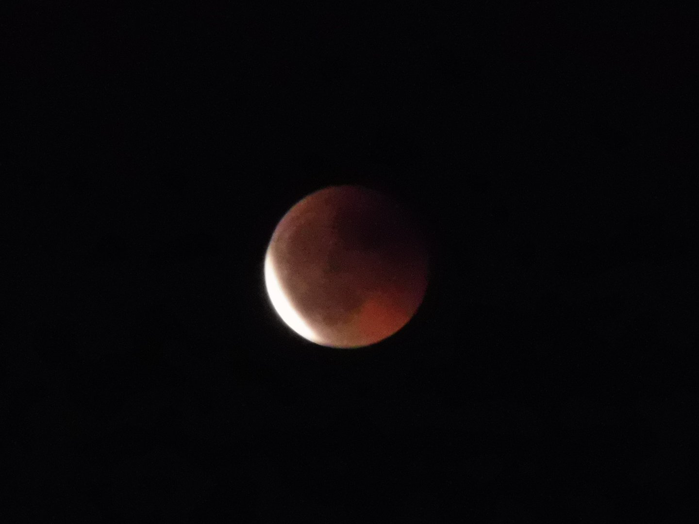 P1010200.JPG