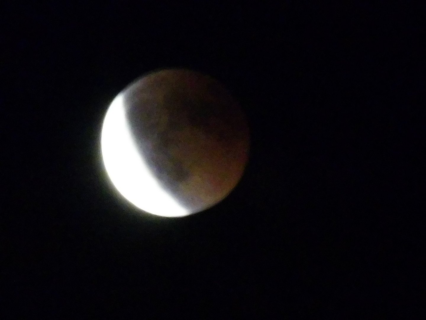 P1010275.JPG