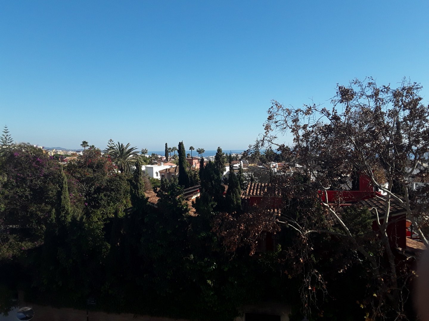 20190107_150427.jpg