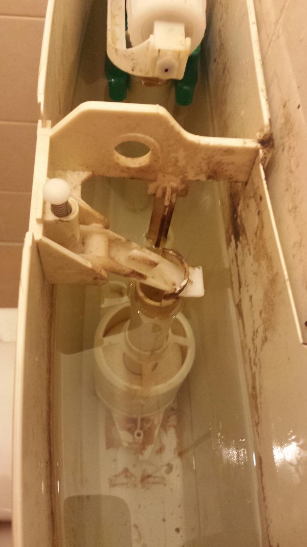 WC2.jpg