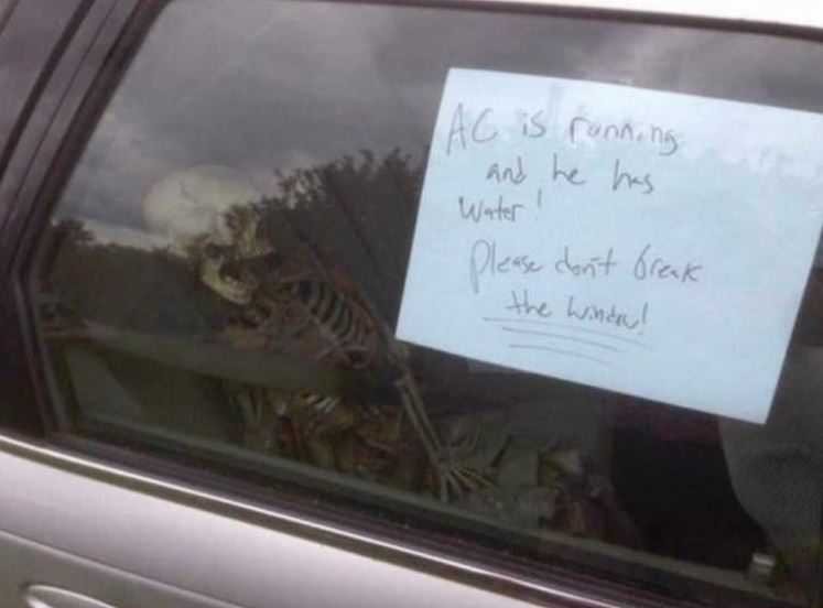 Zomer.jpg.277c53b6e2ea596075805331c1b8695d.jpg