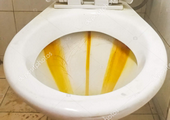 image.png.967cd591d48ad7c88bbe4865496c7b12.png