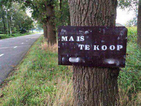 1244180972_Maistekoop.jpg.9a53925c0c81ebea226c47900d44d391.jpg