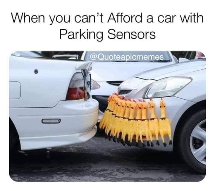 Parkingcensor.jpg.5a9889765f9f793ce13fe87f74fbc6d9.jpg