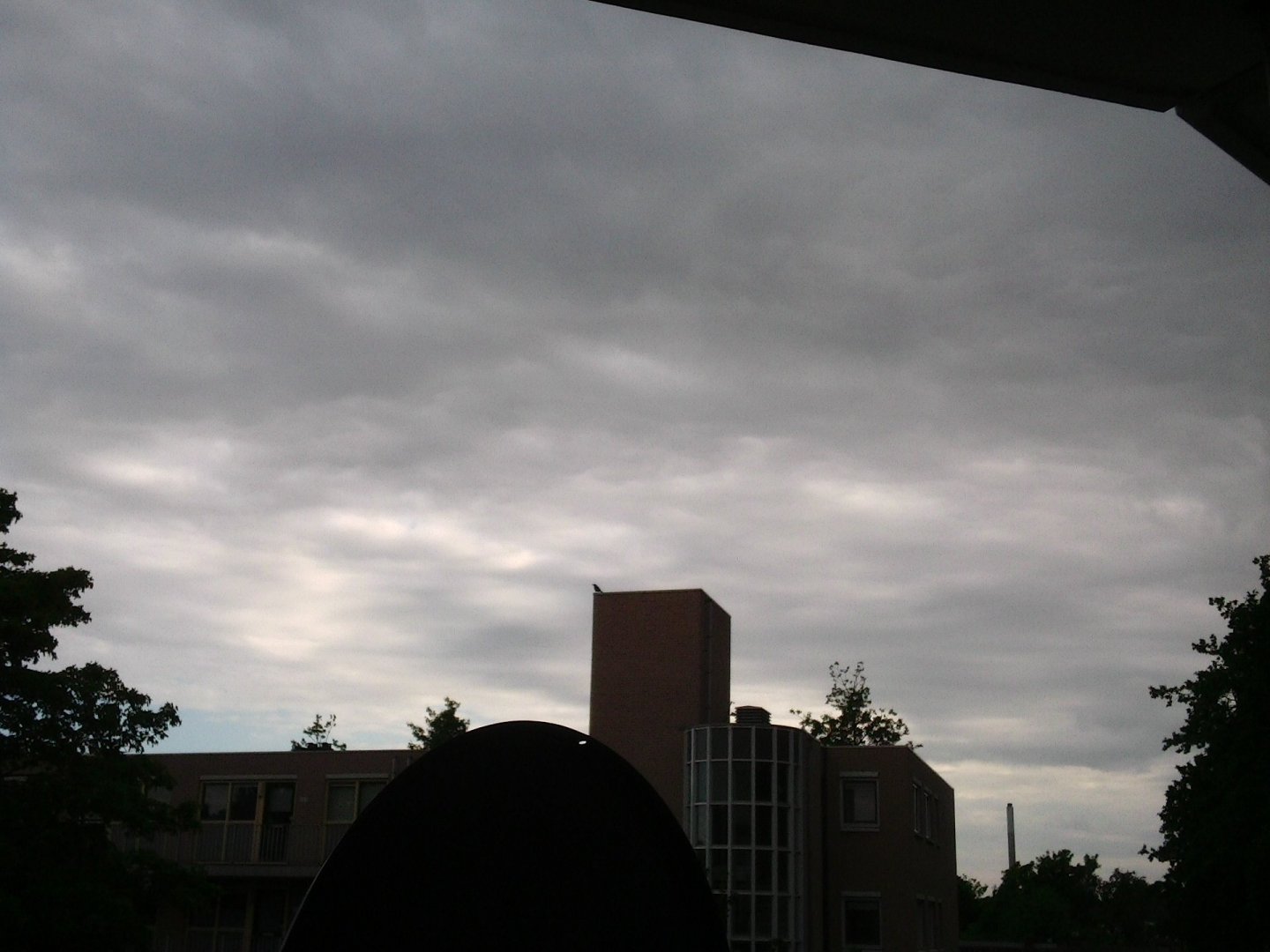 PIC_0747.JPG