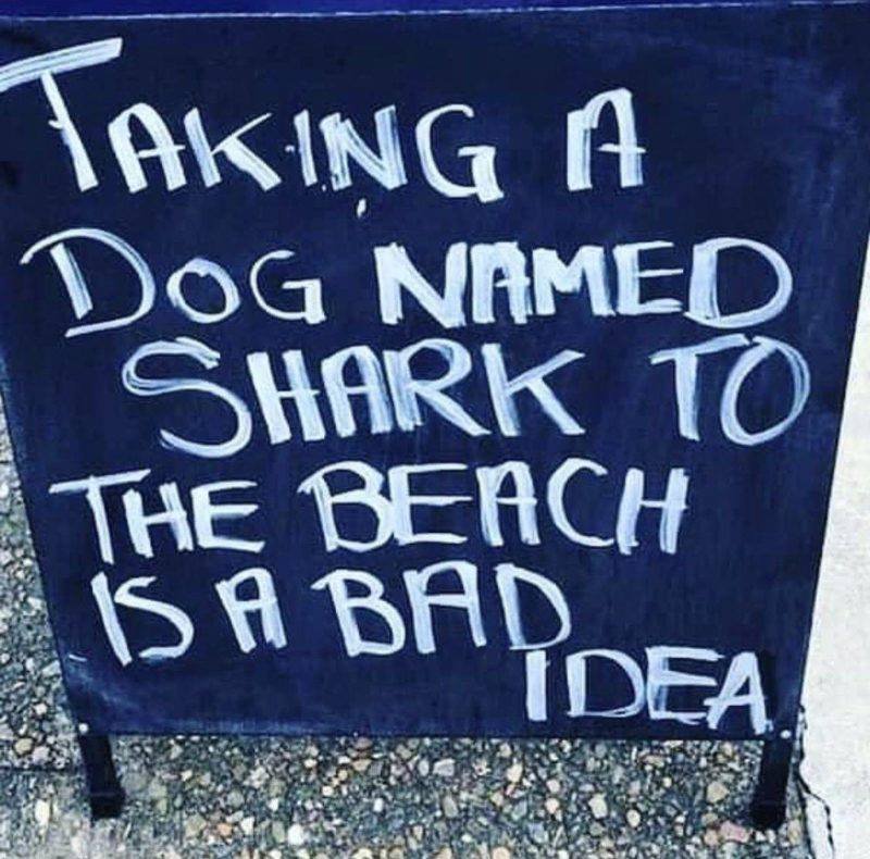 Shark.jpg.4793ac29ddd72ac80007019896ed331a.jpg