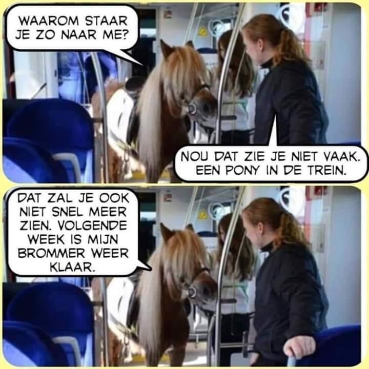 Pony.jpg.cfc027dddec97a953da7ef15e7127b8c.jpg