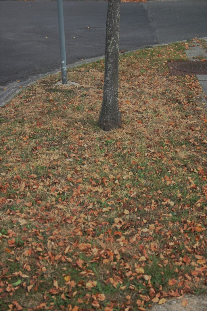 droogte 5.jpg