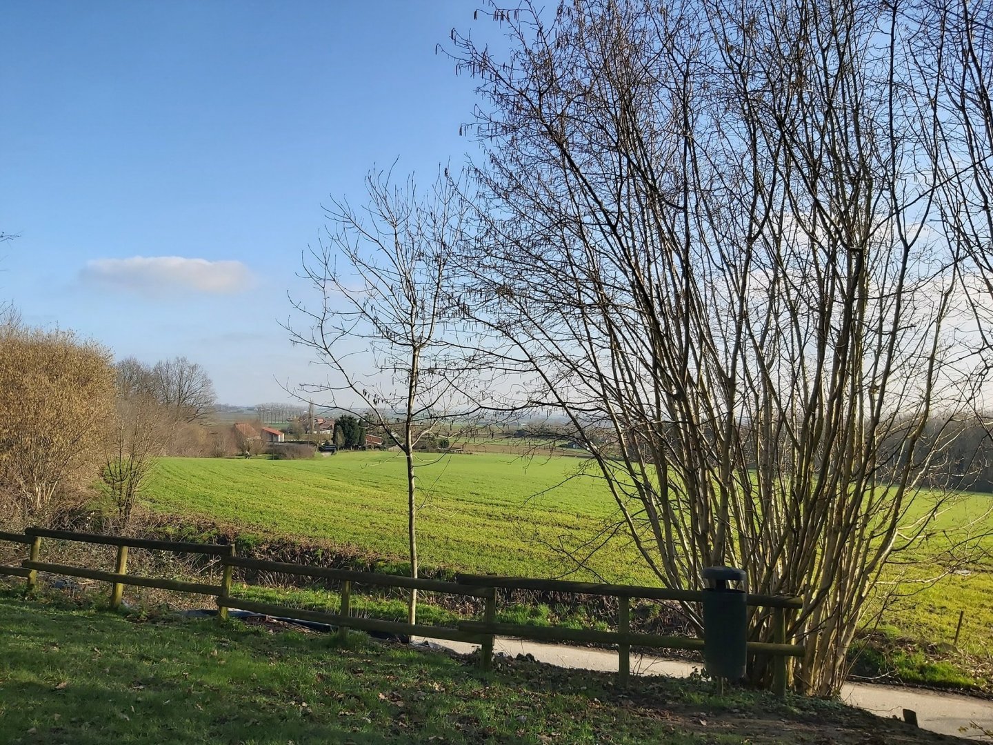 mooi weer 2.jpg
