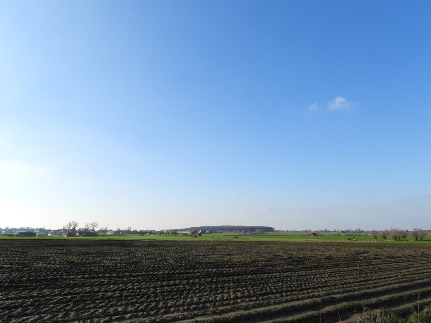 mooi weer 3.jpg