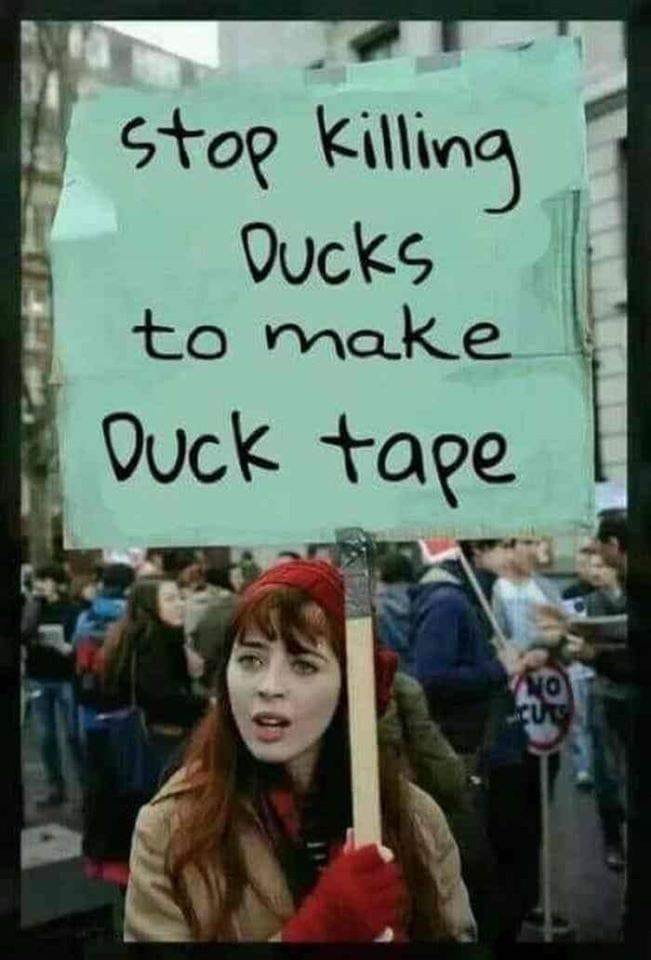 Duck.jpg.f85f45051238c6820ee62e65820de243.jpg