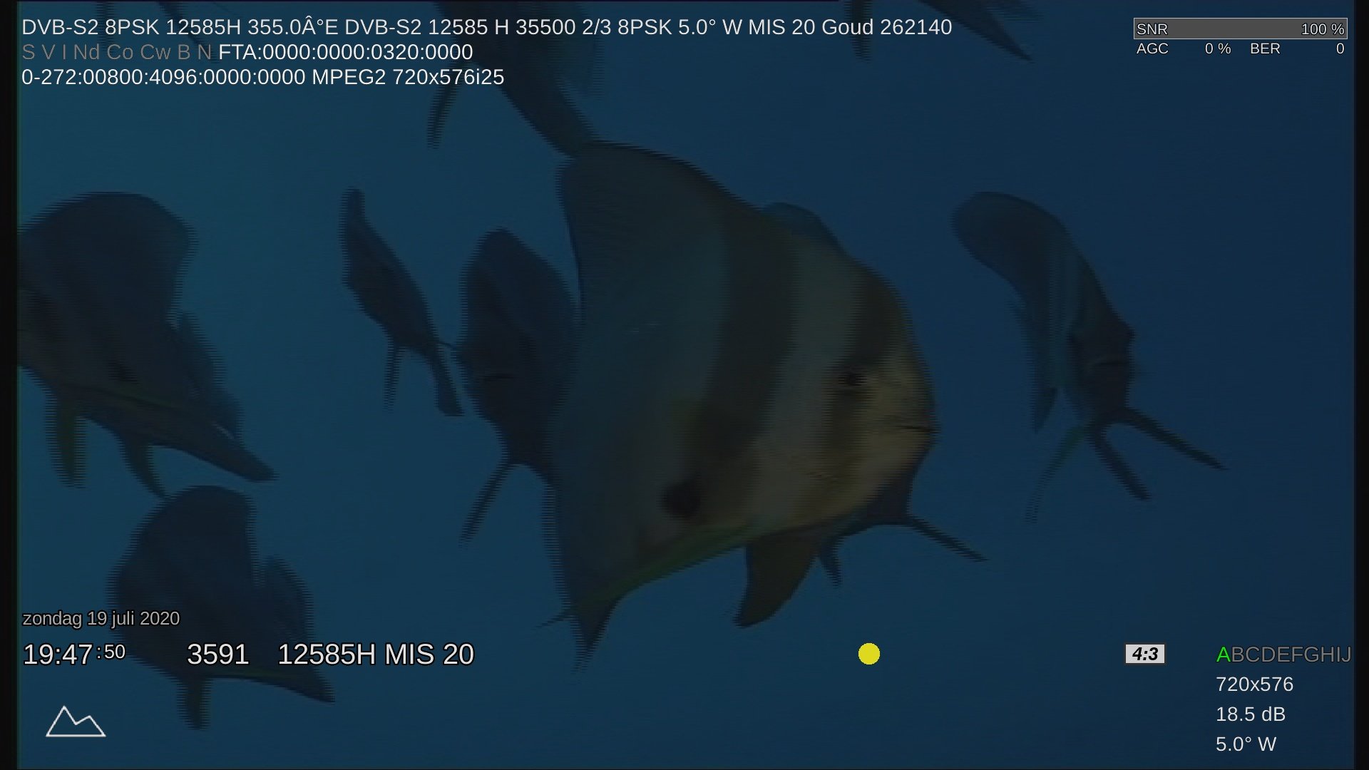 1_0_1_320_110_0_DDE3129_0_0_0_20200719194750.jpg.c8e6c488b049c3dd2afc68a06009ce0f.jpg