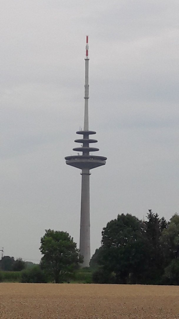 20200801_115457.jpg