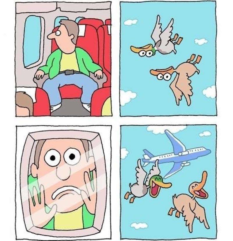 Birds.jpg.fb75c3afbf8443aeba78c1c92e2612b5.jpg