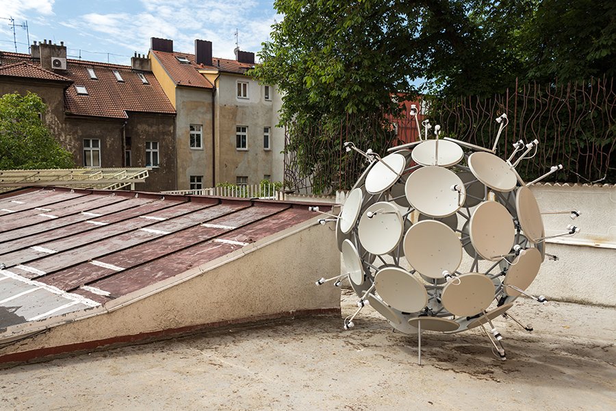 jakub-geltner-complex-nest.jpg.7bdc1d3487197648cbdd46efae6be2fc.jpg