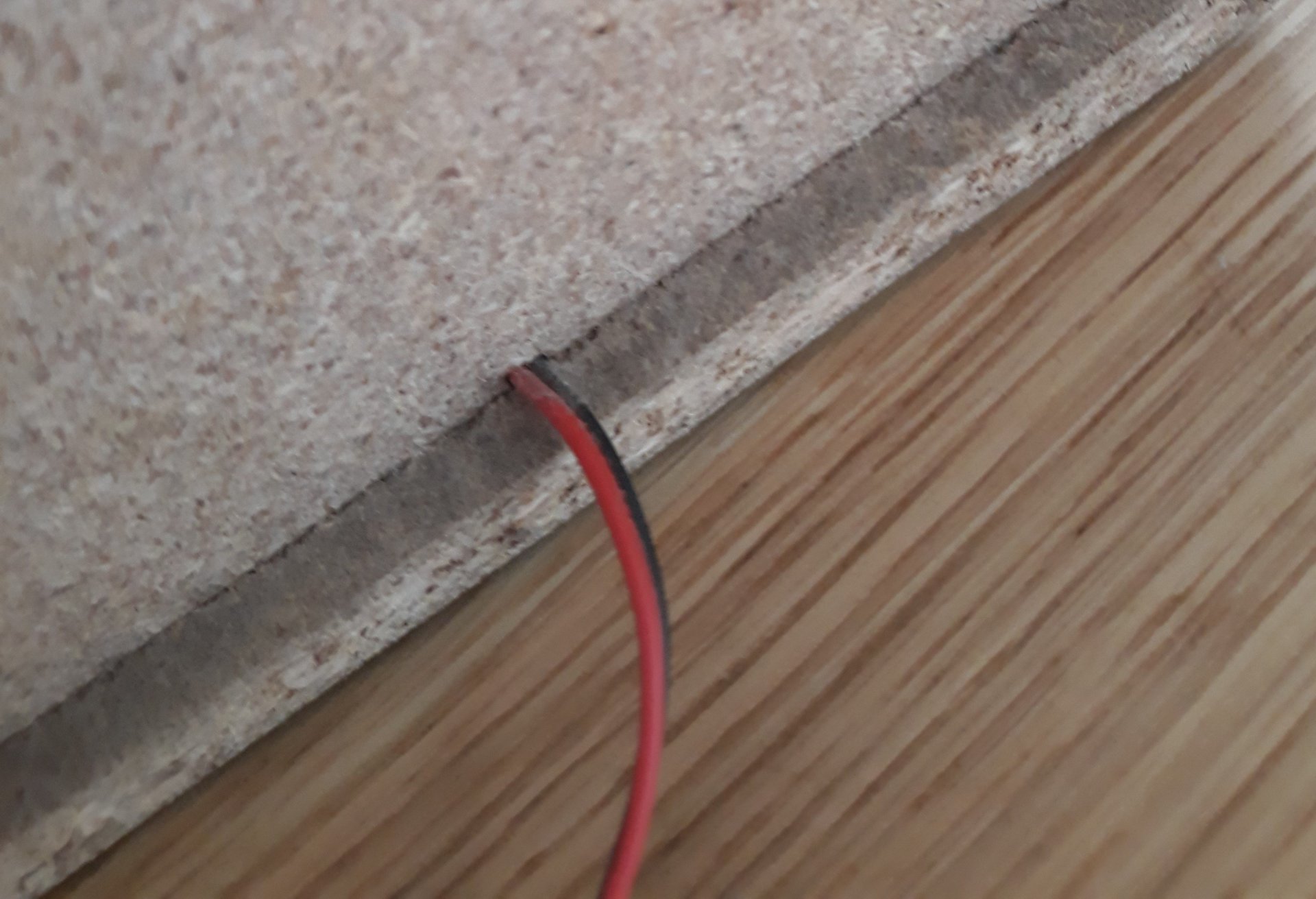 20201009_152101.jpg