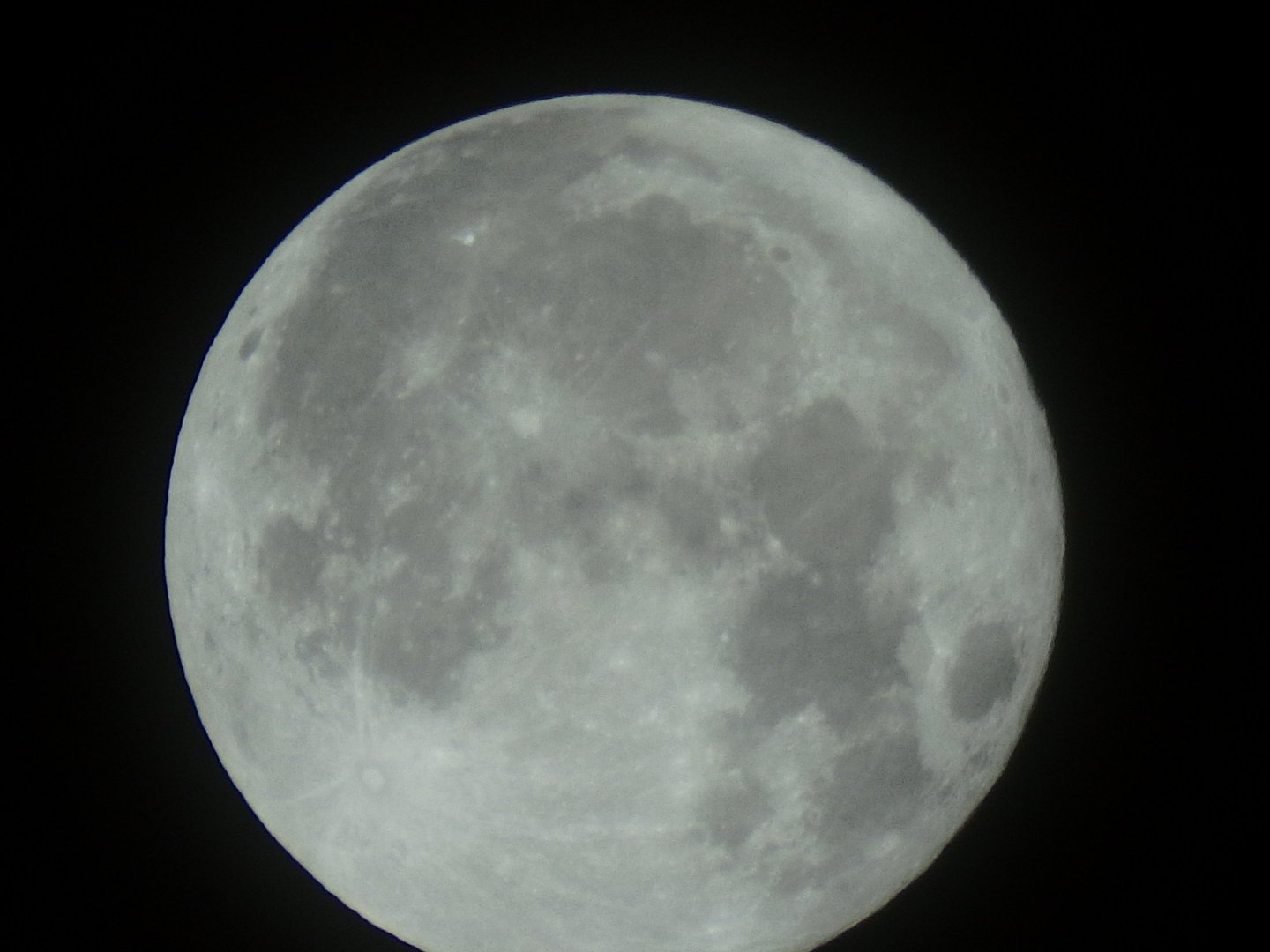PA310031.thumb.JPG.c04ae4c620fb784ffe59d42e2efdb77c.JPG