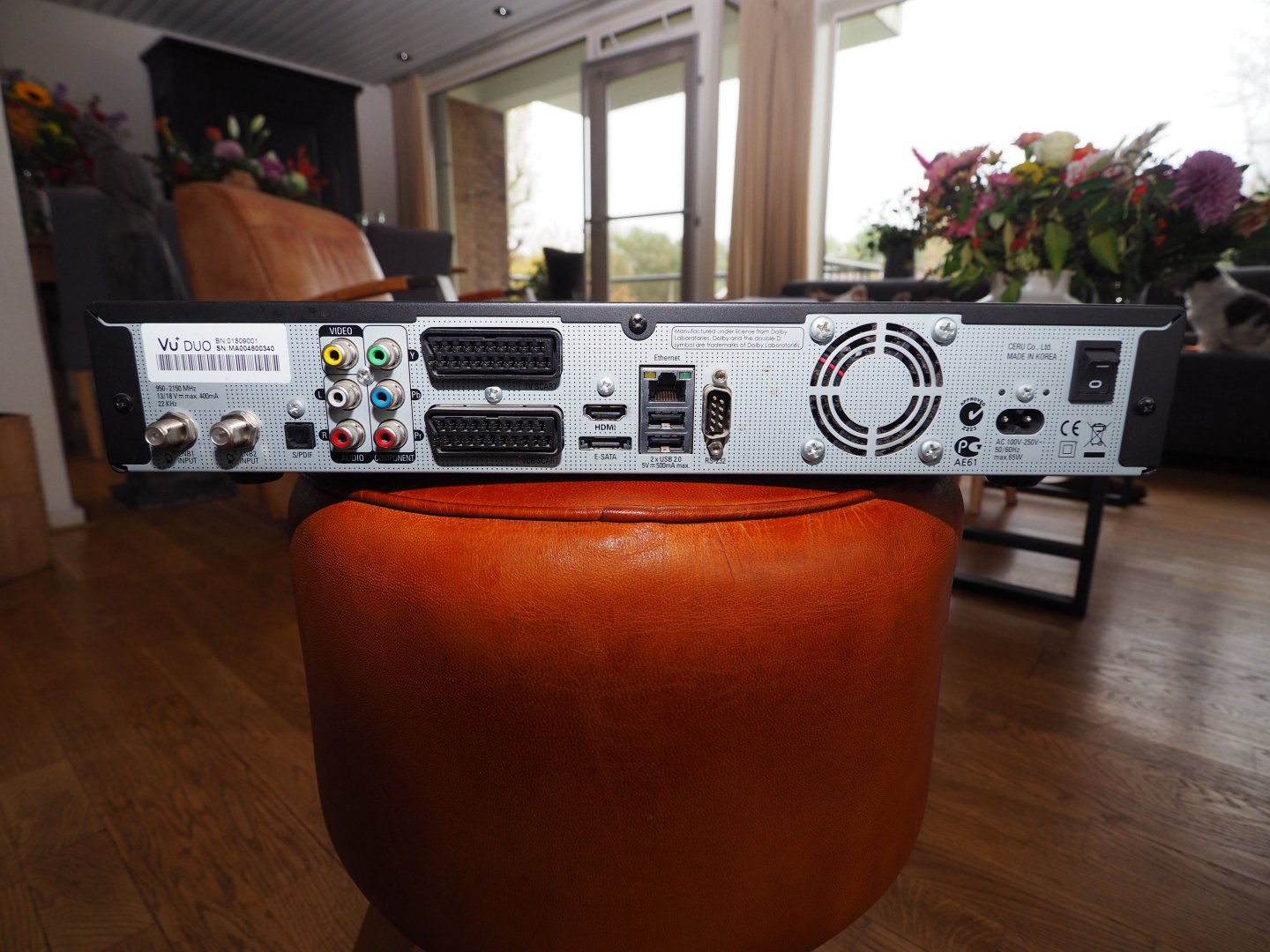 PB020845.JPG