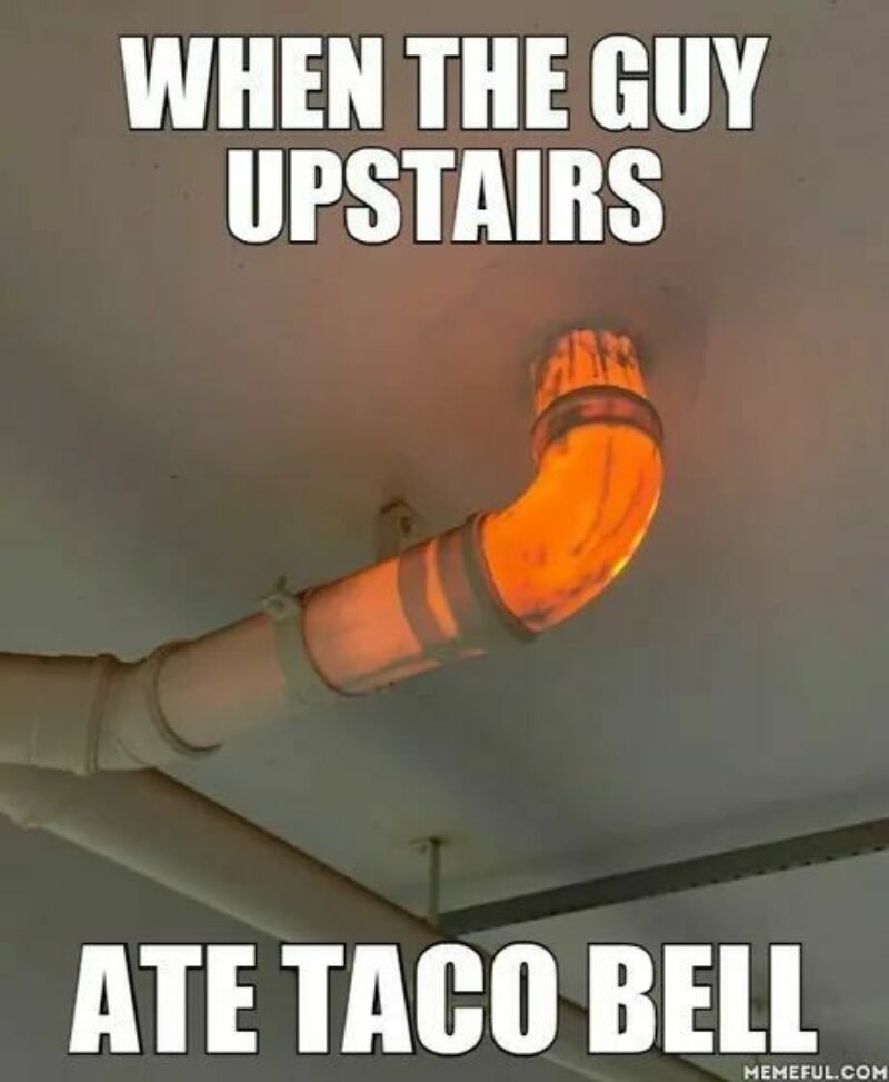 769516061_TacoBell.jpg.d41f774ea2ec6ee4e573e1fb9dbf6457.jpg