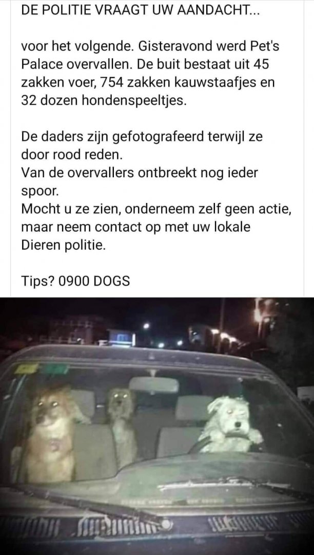 Dieven.thumb.jpg.cdbcd8e74b016c1ab6674746210053fa.jpg