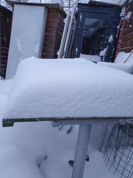 119732760_sneeuwintwente4.jpg.9e9ea462e6877a688f06625045b6530f.jpg