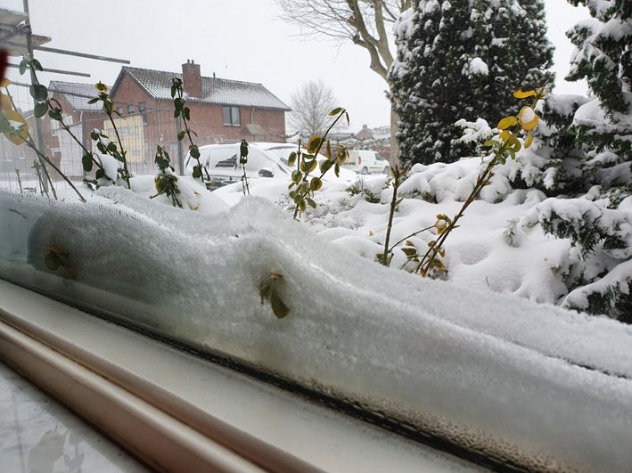 1880125419_sneeuwintwente3.jpg.3e2efa92d3e170b446191f735fdfb340.jpg