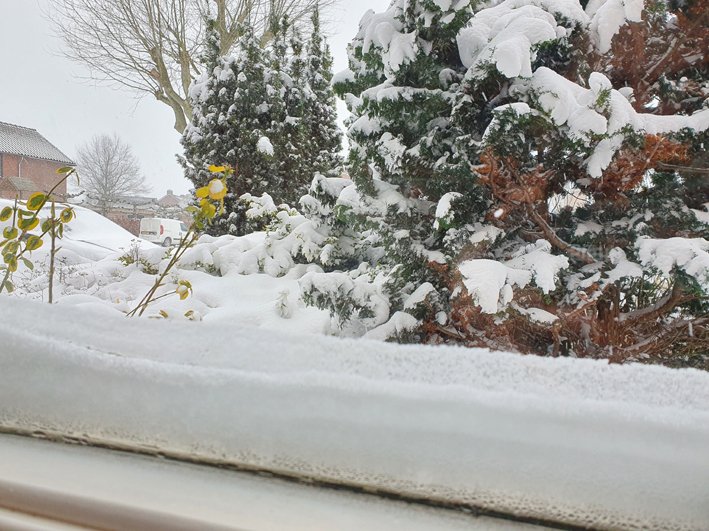 620653341_sneeuwintwente2.jpg.b4c3d129d5478898a839d4db28846c53.jpg