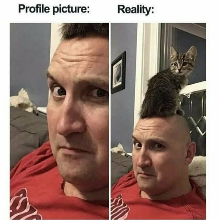 Hair.thumb.jpg.b9b9e113b7e1ebf507159585c80eef5d.jpg