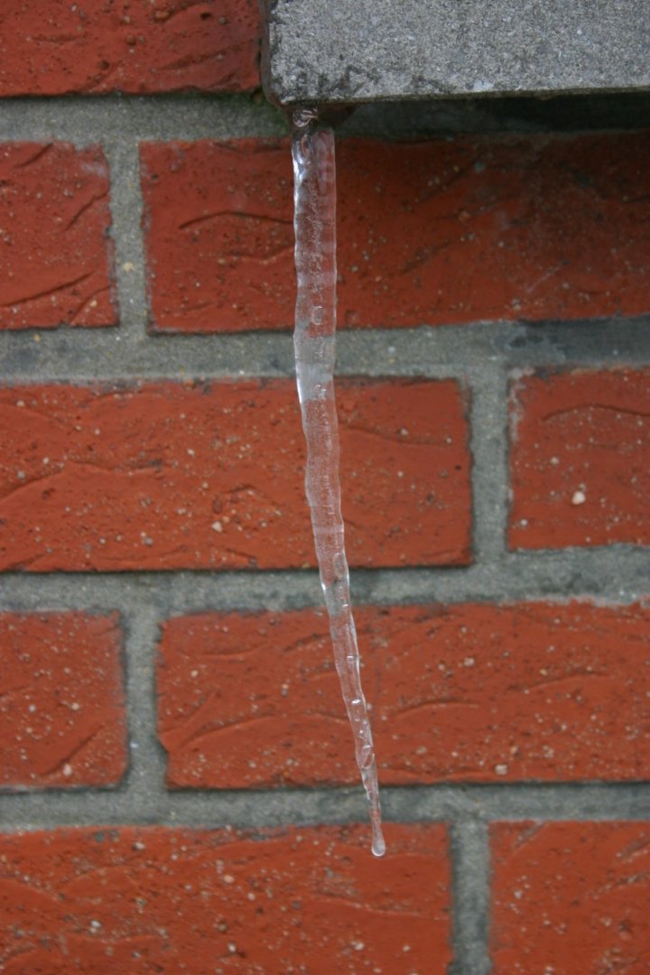 IMG_5609.JPG