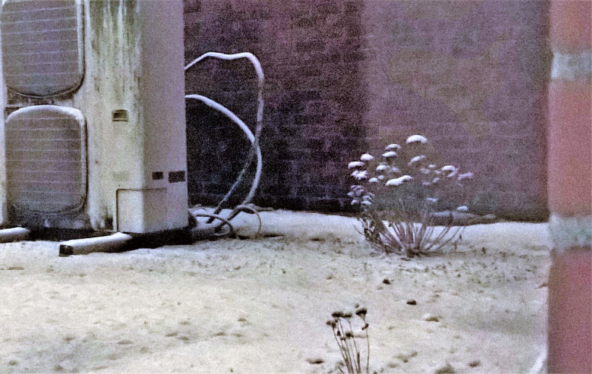 WP_20210206_22_31_01_Pro.jpg