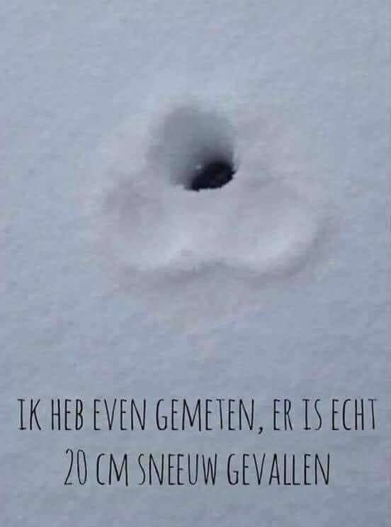 afbeelding.png.c9cdfefb14836b15f41b94761cb8d8b1.png