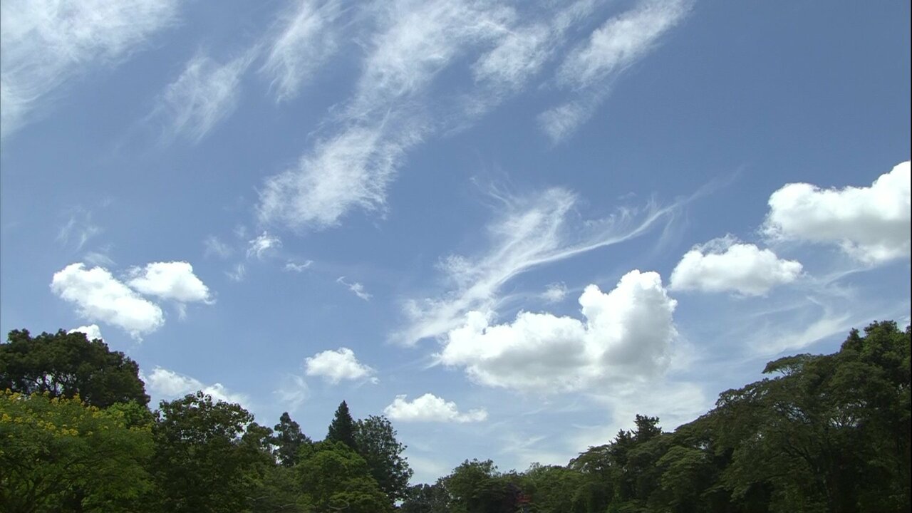 vlcsnap-2021-03-23-12h59m38s025.jpg