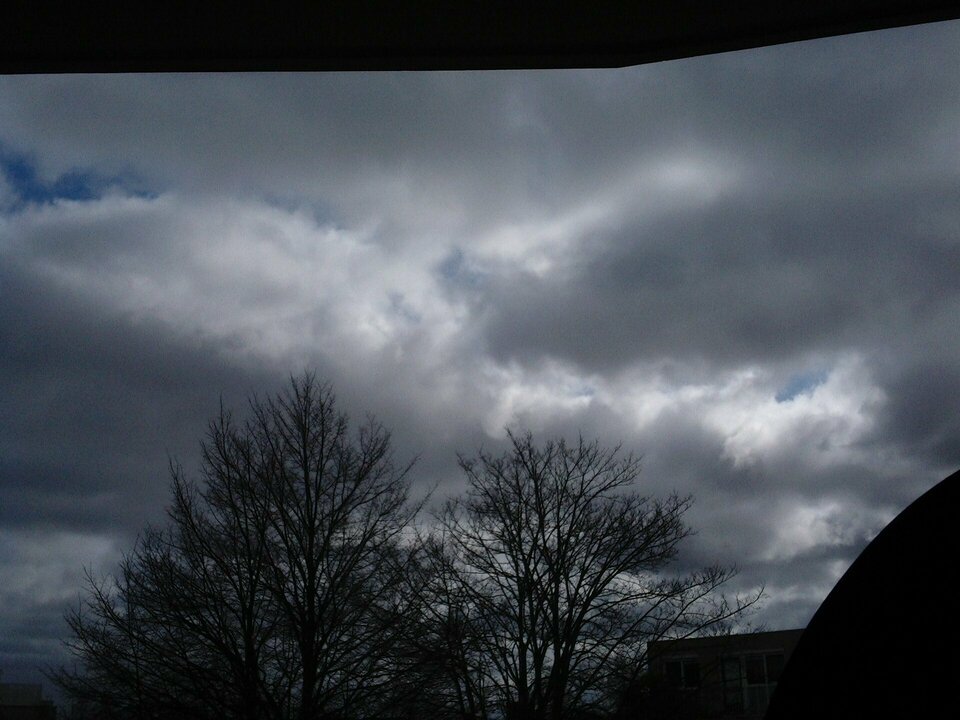 PIC_4406.JPG