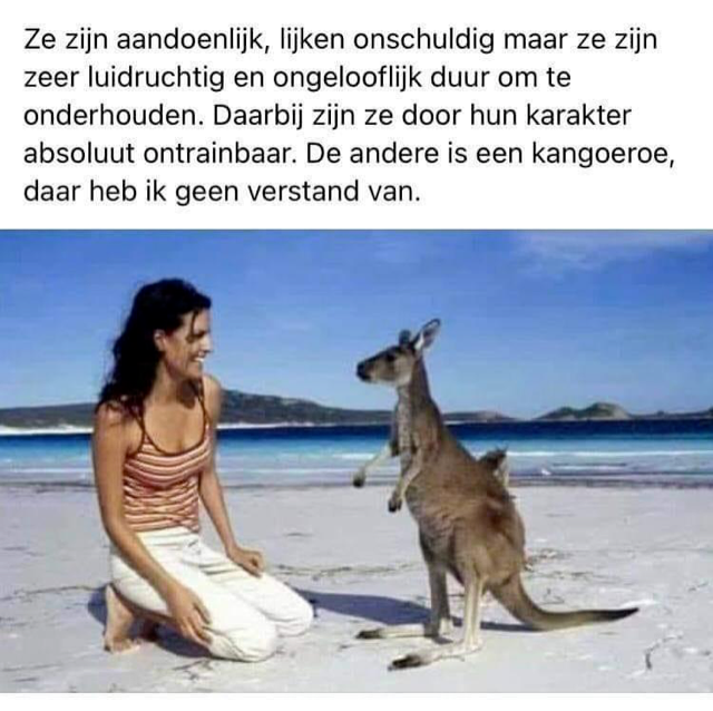 afbeelding.png.8857d3097be40115cc41b65b38687387.png