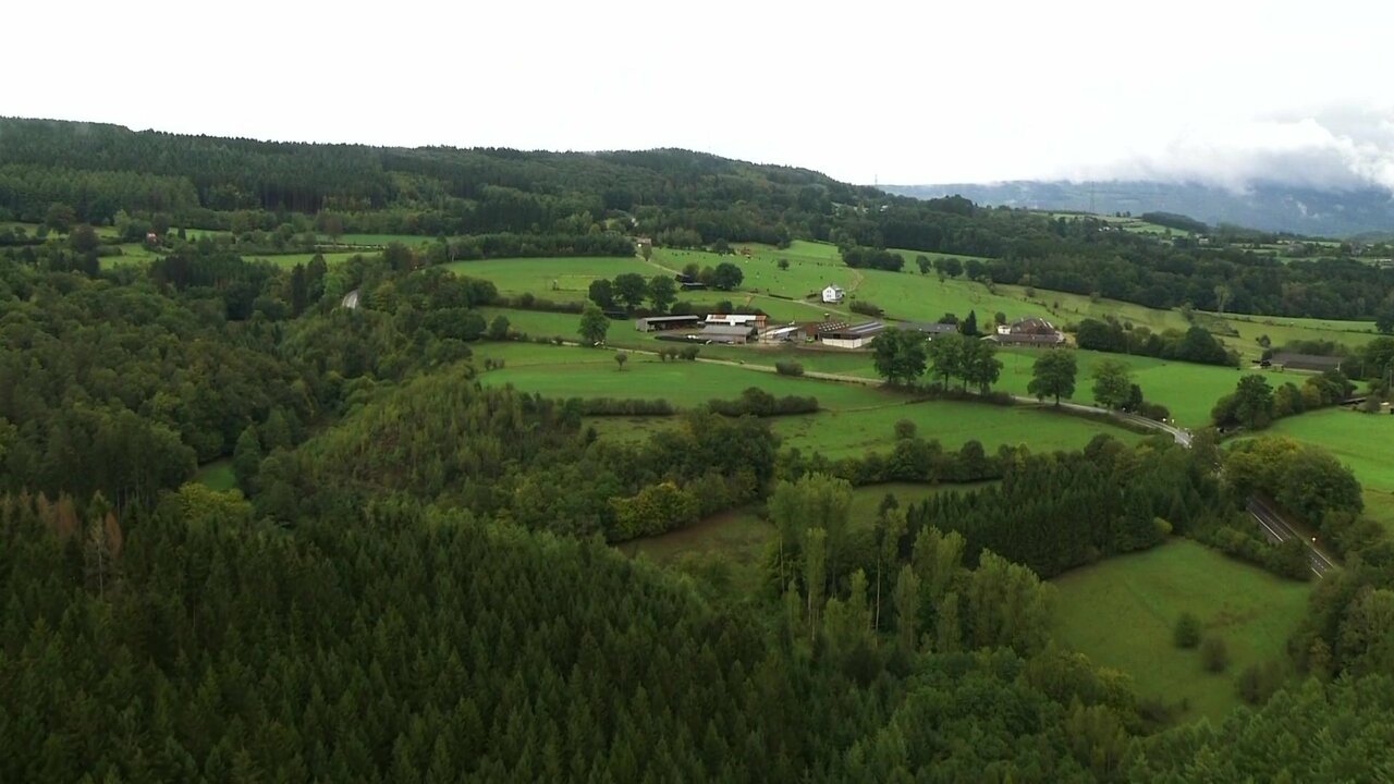 vlcsnap-2021-04-21-11h36m18s852.jpg