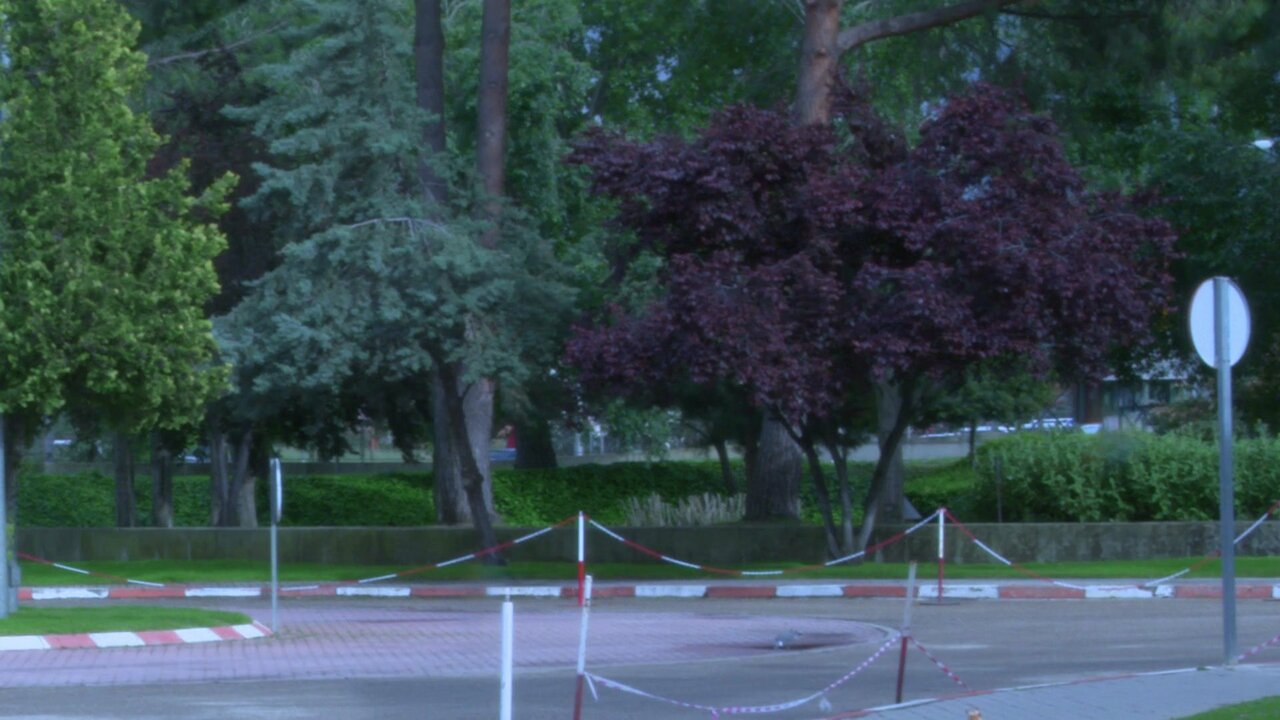vlcsnap-2021-04-27-18h22m56s361.jpg