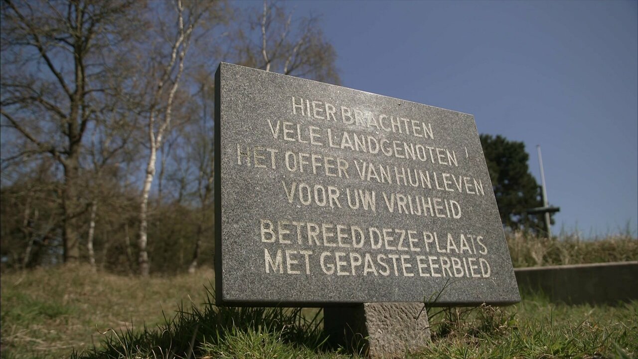 vlcsnap-2021-05-04-20h48m16s801.jpg