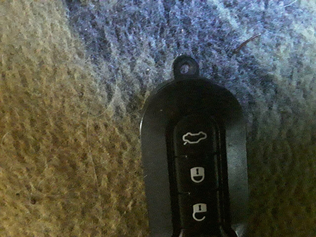 20210613_184420.jpg